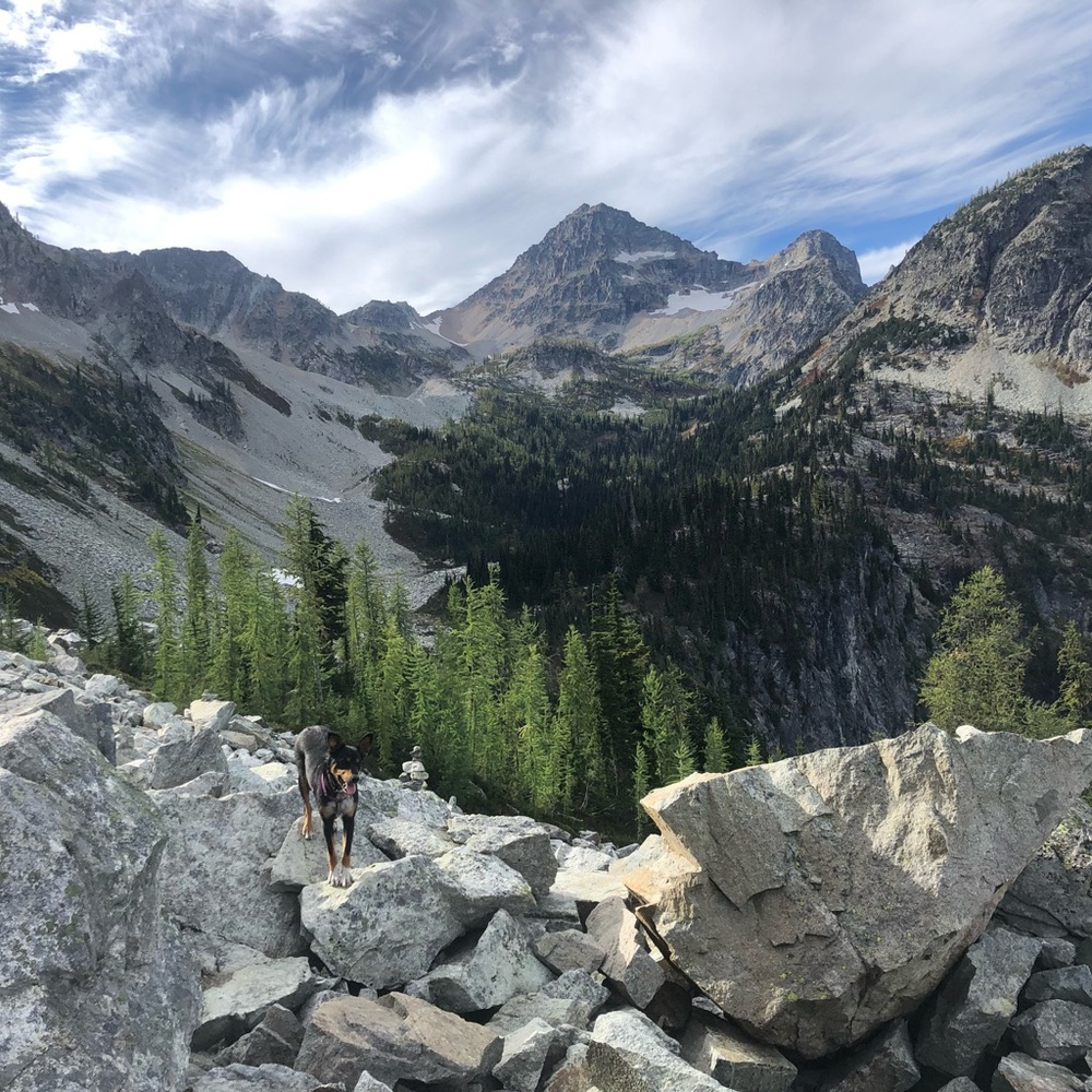 Meet your Posher, Megan